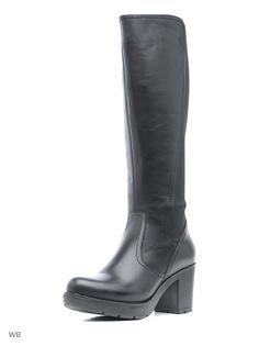 Сапоги Dino Ricci