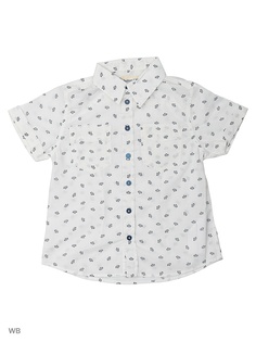 Рубашки Button Blue