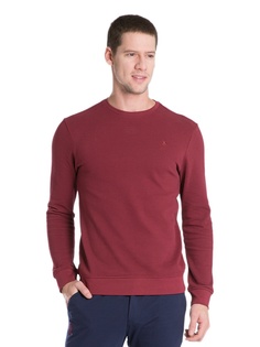 Свитшоты U.S. Polo Assn.
