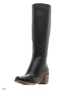 Сапоги Francesco Donni