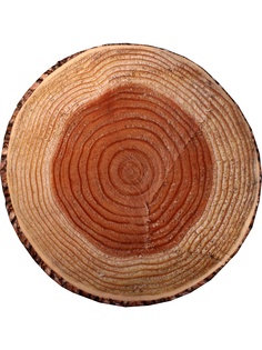 Подушки на стул Dorothys Нome