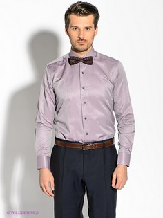 Рубашки Alex DANDY