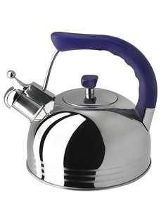 Чайники для плиты Regent inox