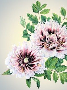 Декоративные наволочки Матренин Посад