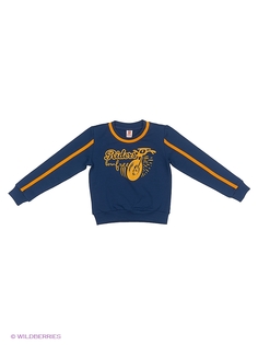 Свитшоты Goldy