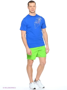 Футболка Alpine PRO