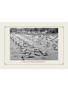 Плакаты Даринчи