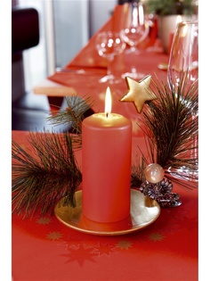 Скатерти DUNI