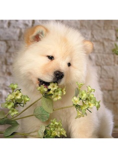 Декоративные наволочки Матренин Посад