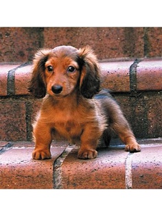 Декоративные наволочки Матренин Посад