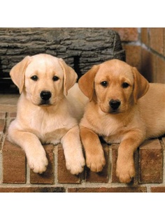 Декоративные наволочки Матренин Посад