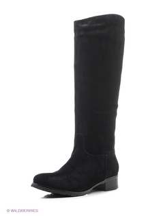 Сапоги Enzo Logana