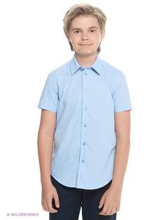 Рубашки Button Blue