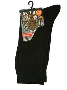 Носки ARKTUR