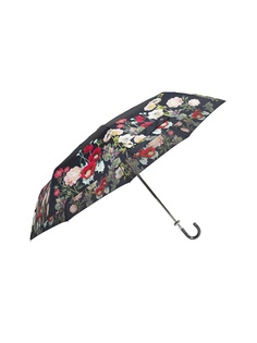 Зонты MollyMarais