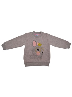 Свитшоты КИТ