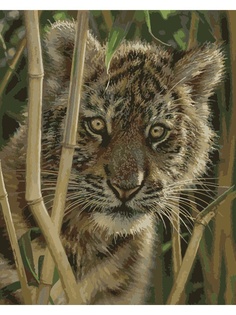 Наборы для рисования Menglei