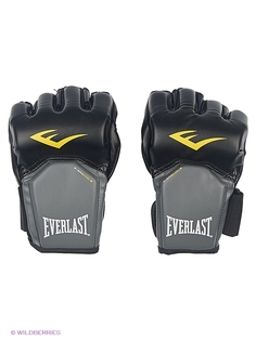 Боксерские перчатки Everlast