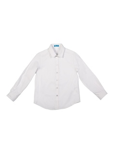 Рубашки Button Blue