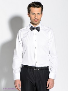 Рубашки Alex DANDY