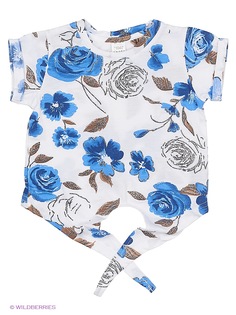 Топ M&DCollection