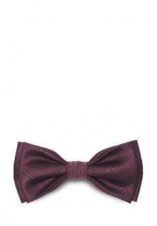 Бабочка Stefano Danotelli