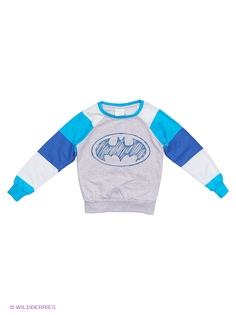 Свитшоты RHS