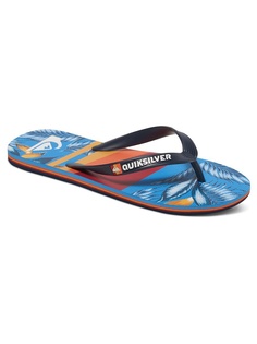 Пантолеты Quiksilver