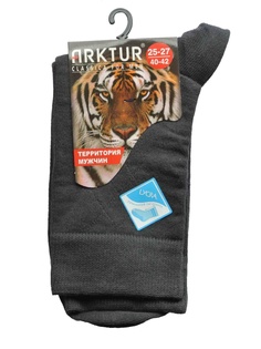 Носки ARKTUR