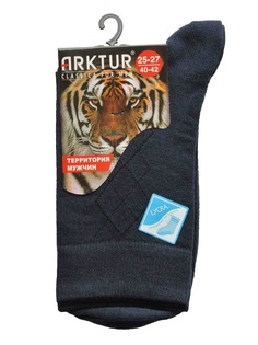 Носки ARKTUR