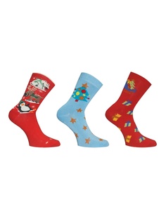 Носки Master Socks