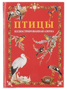 Книги Белый город