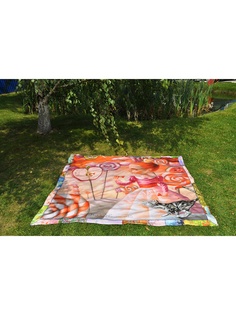 Пледы Фабрика ДемьяновЪ