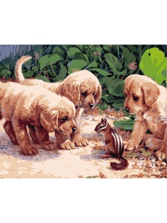 Наборы для рисования Menglei