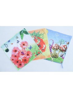 Полотенца кухонные A and C Collection
