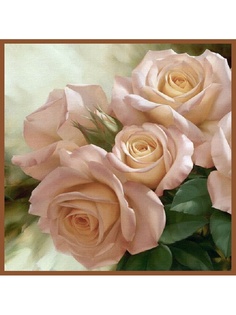 Наволочки Рапира