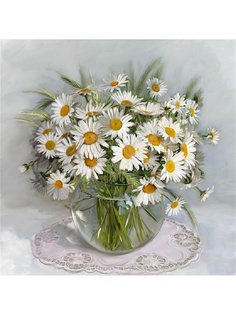 Наволочки Рапира