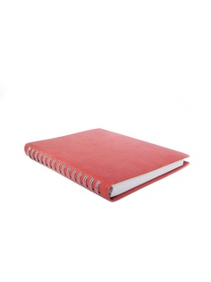 Блокноты Триумф