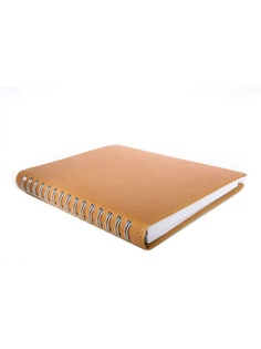 Блокноты Триумф