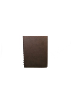 Блокноты Триумф