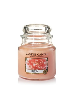 Свечи YANKEE CANDLE