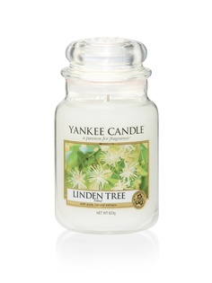 Свечи YANKEE CANDLE