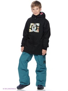 Брюки сноубордические DC Shoes