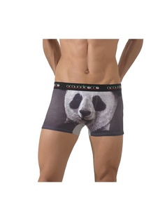 Трусы ACQUADICOCCO