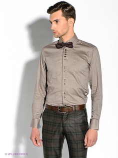Рубашки Alex DANDY