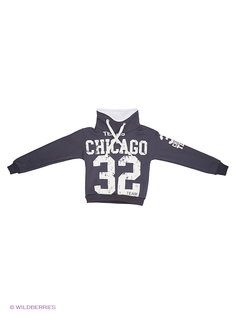 Свитшоты Stella