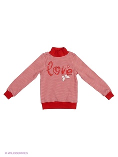 Свитеры M&DCollection