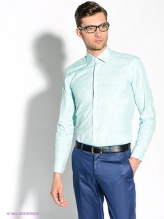 Рубашки Alex DANDY