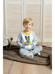 Свитшоты Goldy