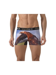 Трусы ACQUADICOCCO